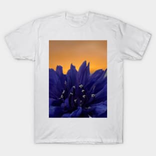 Cornflower at sunset by Anna’s Floristry Design T-Shirt